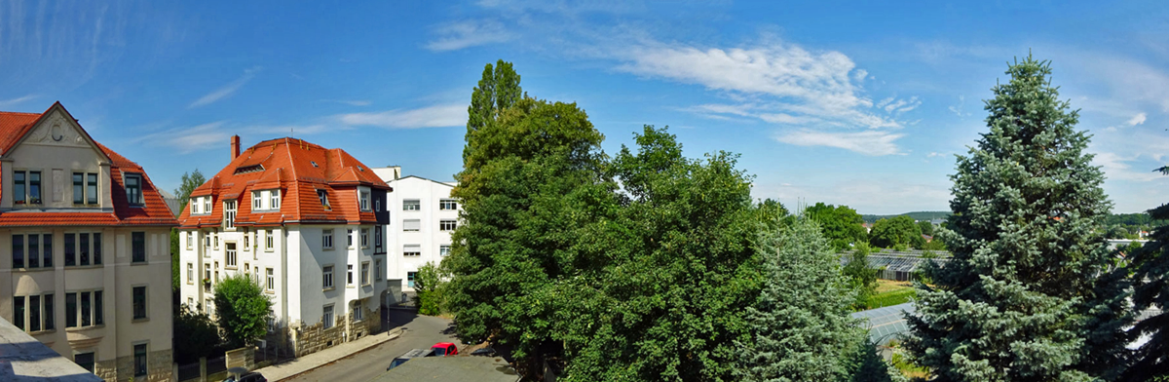 Blick vom Balkon